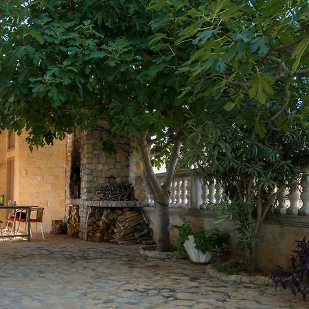 Antique Ivo Apartament